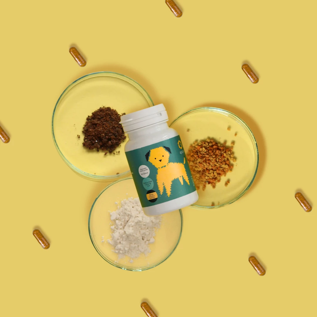 ApiPet skin