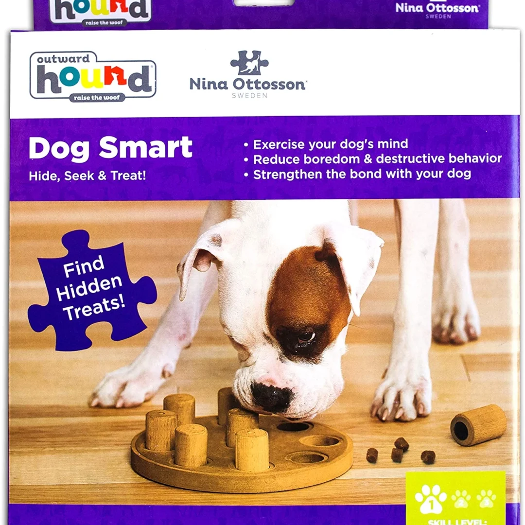 Aktiveringsleksak Smart 1