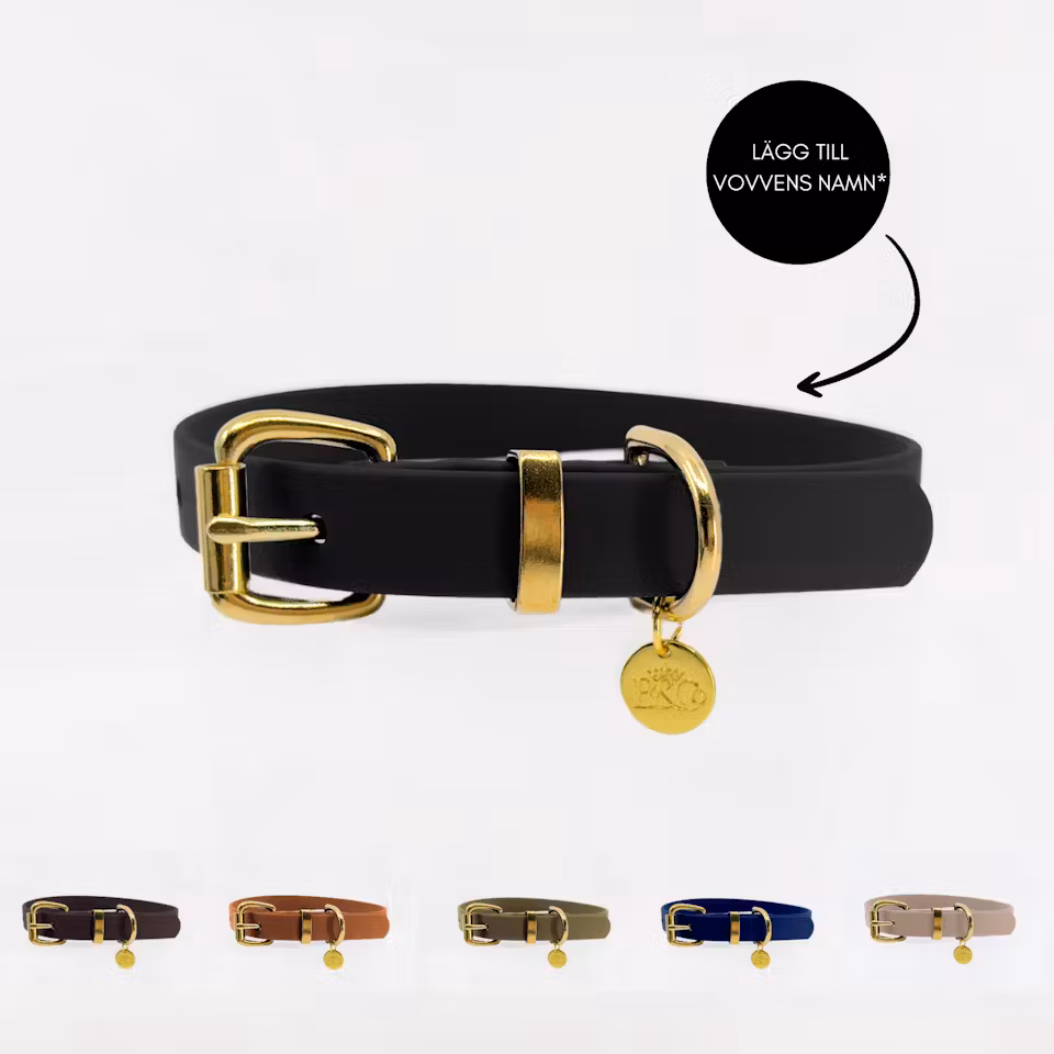 Ställbart BioThane® hundhalsband med mässingdetaljer 