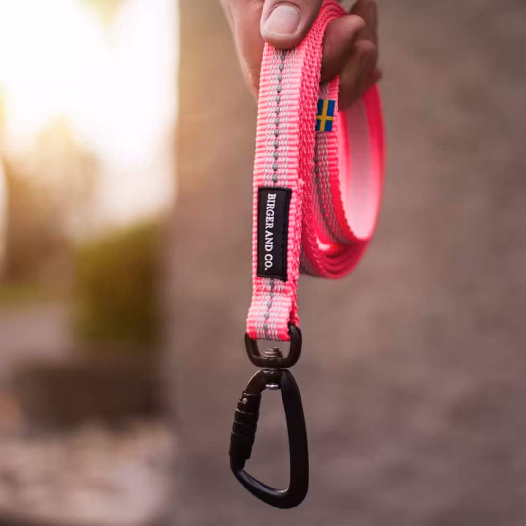 Anti-slip reflexkoppel ROSA Twist & Lock