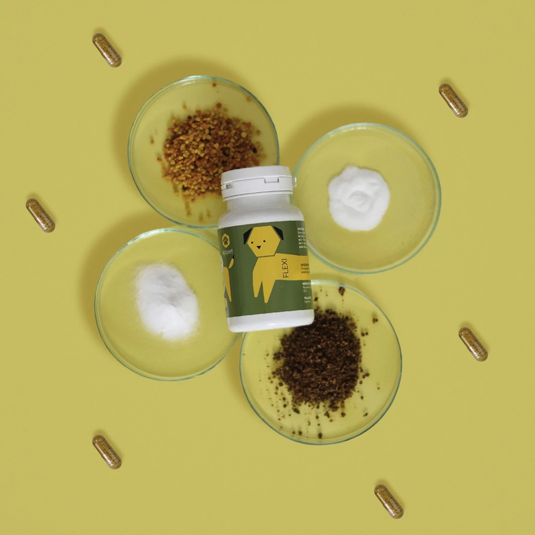 ApiPet Flexi