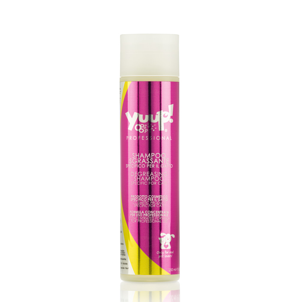 Degreasing Shampoo for Cats
