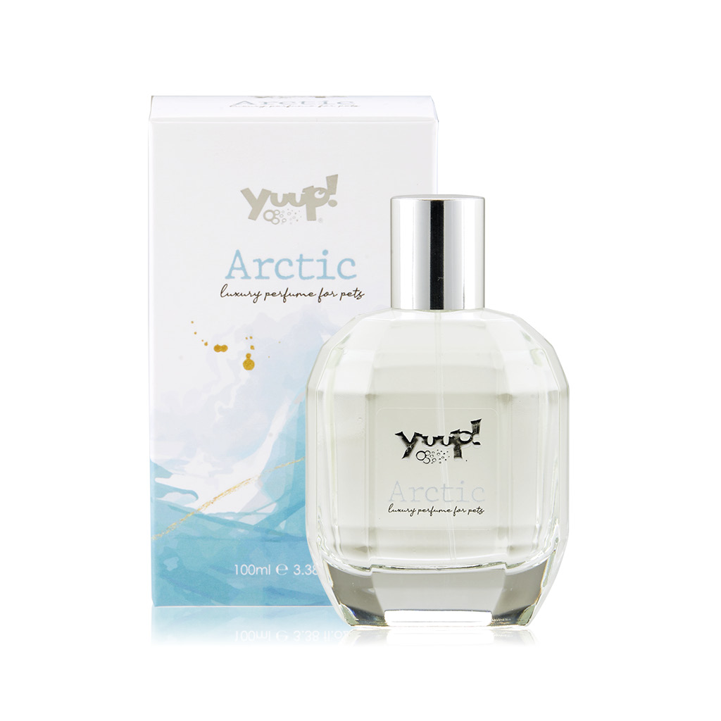 ARCTIC Parfym 100ml YUUP!
