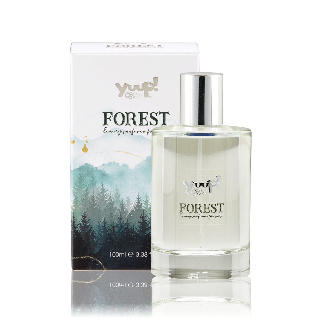 FOREST Parfym 100ml YUUP!