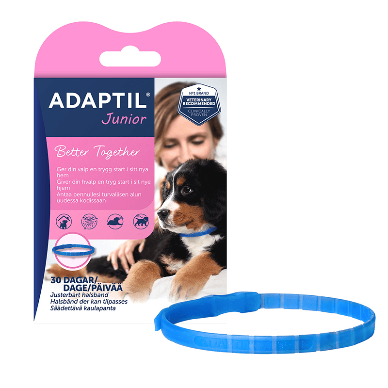 Adaptil Halsband Junior