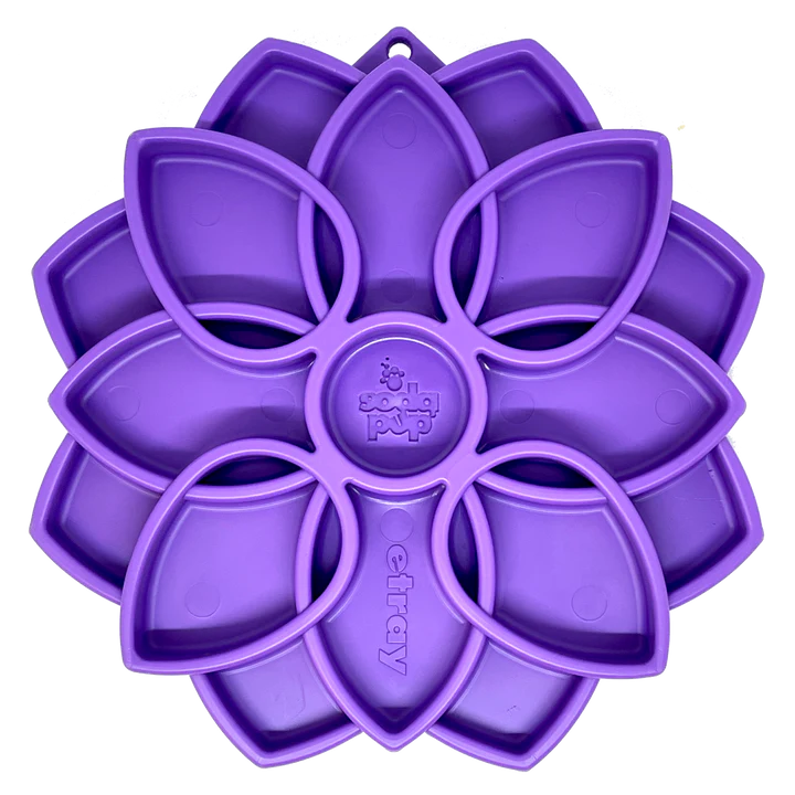 SodaPup slow feeder MANDALA lila