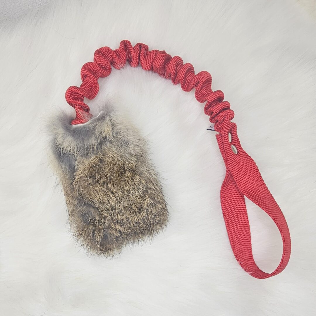 Bistos - Träningsleksak Nova kanin expander